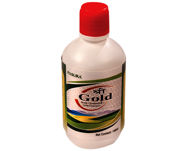 Pasura